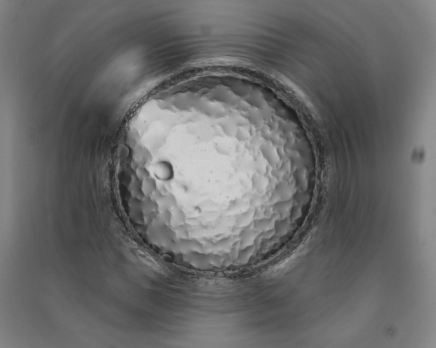 X0000091090921200708201454