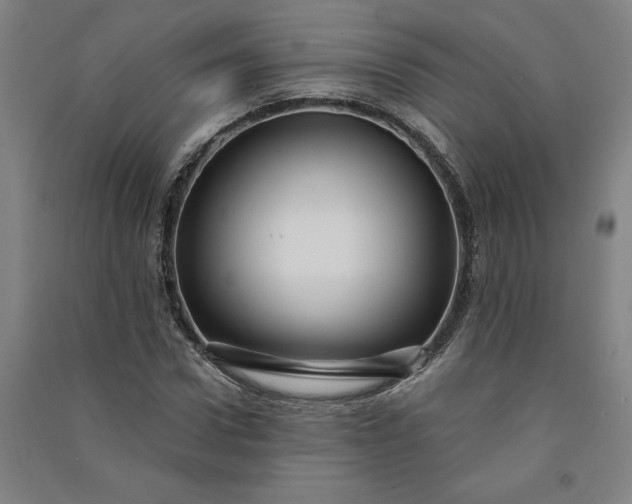 X0000091090922200708201454