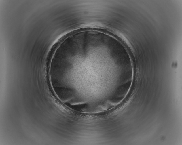 X0000091090923200708201454