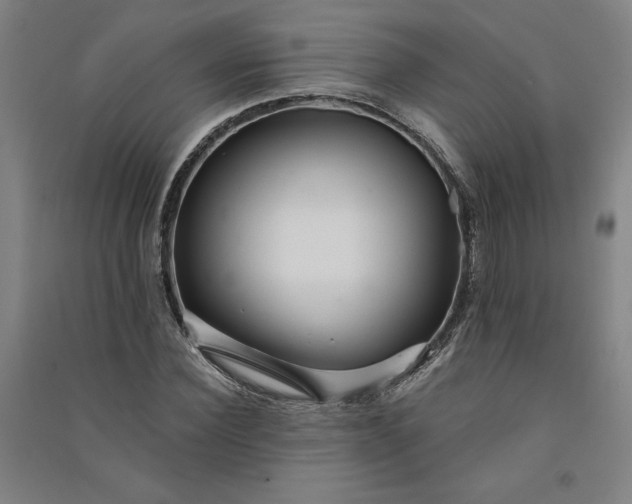 X0000091090924200708201454