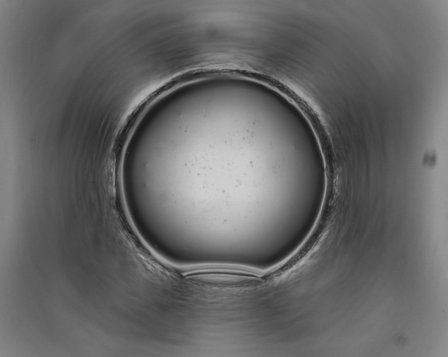 X0000091090925200708201454