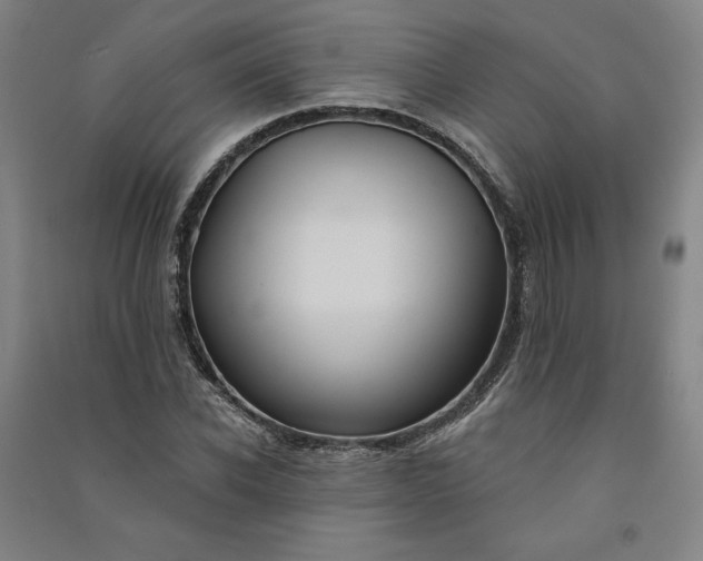 X0000091090926200708201454