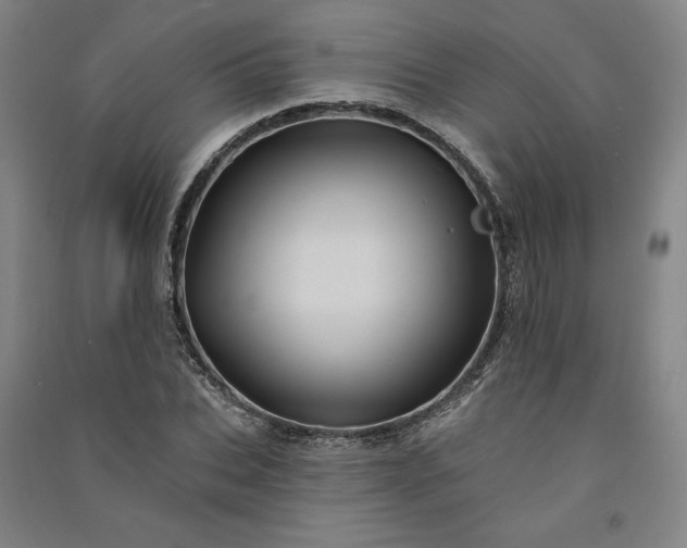 X0000091090927200708201454