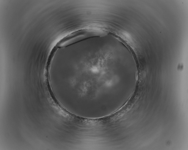 X0000091090928200708201454