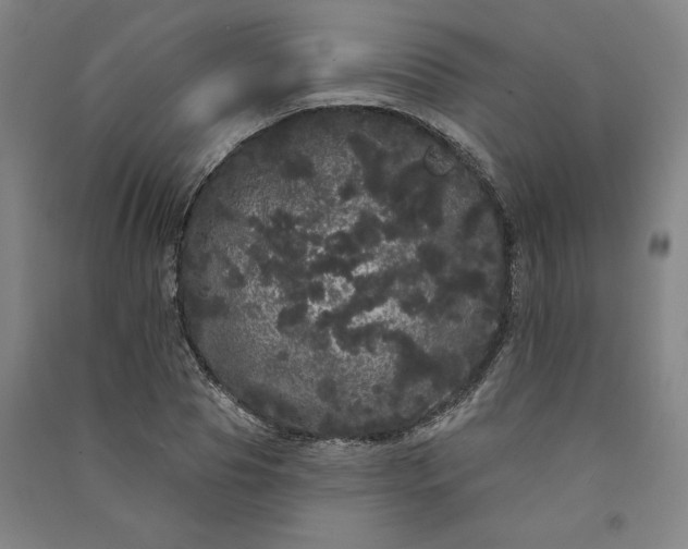 X0000091090929200708201454