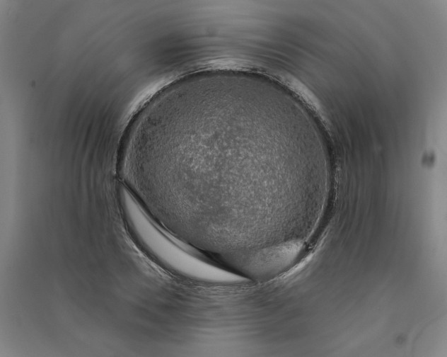 X0000091090930200708201454