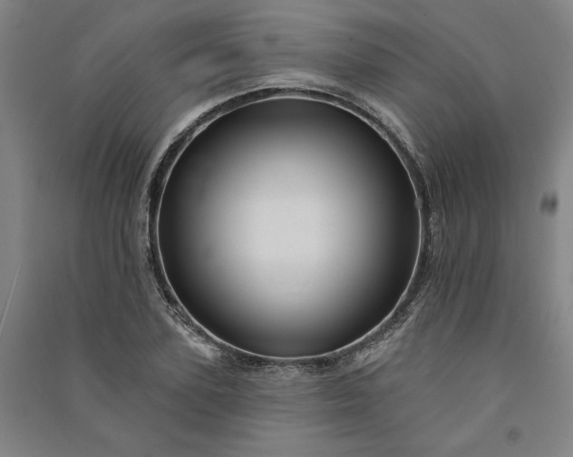 X0000091090931200708201454