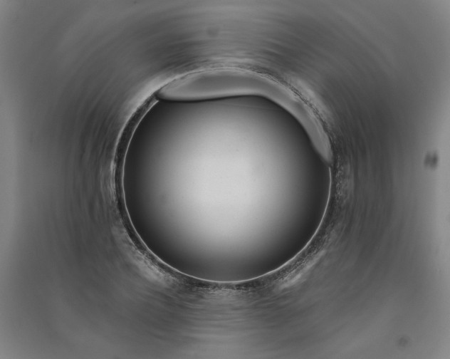 X0000091090932200708201454