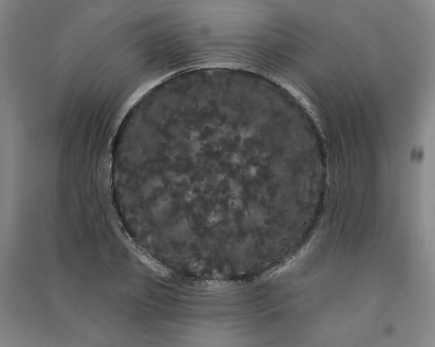 X0000091090933200708201454