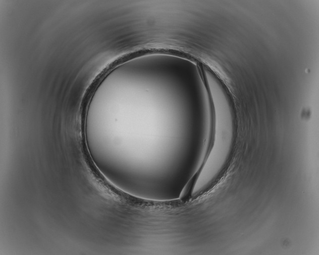 X0000091090934200708201454