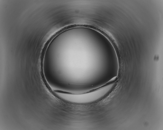 X0000091090935200708201454