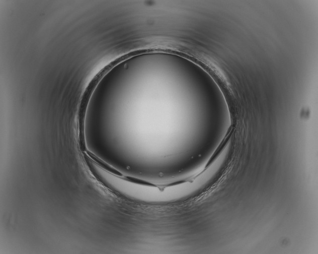 X0000091090936200708201454