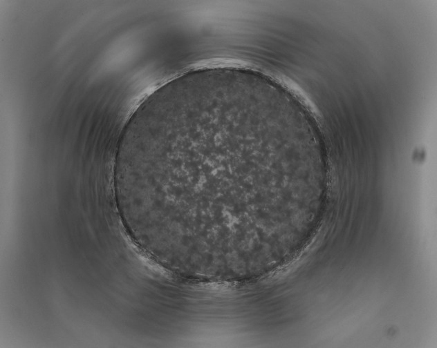 X0000091090937200708201454