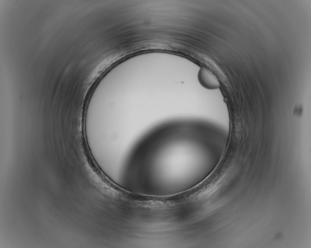 X0000091090938200708201454