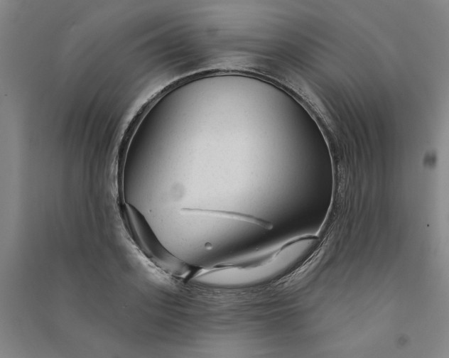 X0000091090939200708201454