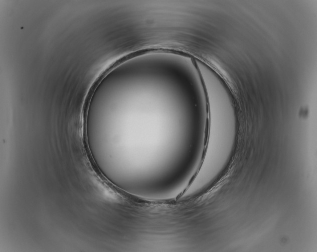 X0000091090940200708201454