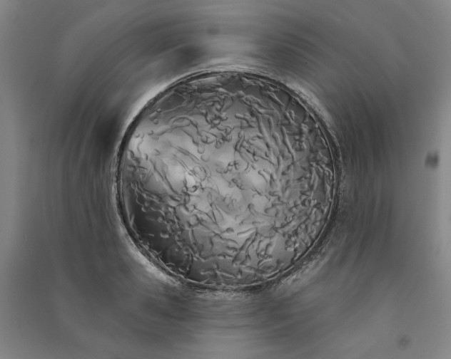 X0000091090941200708201454