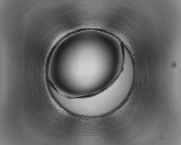 X0000091090942200708201454