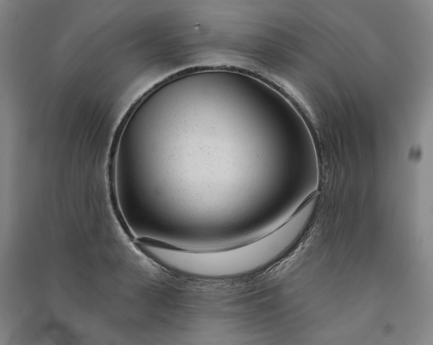 X0000091090943200708201454