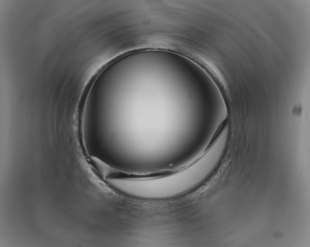 X0000091090944200708201454