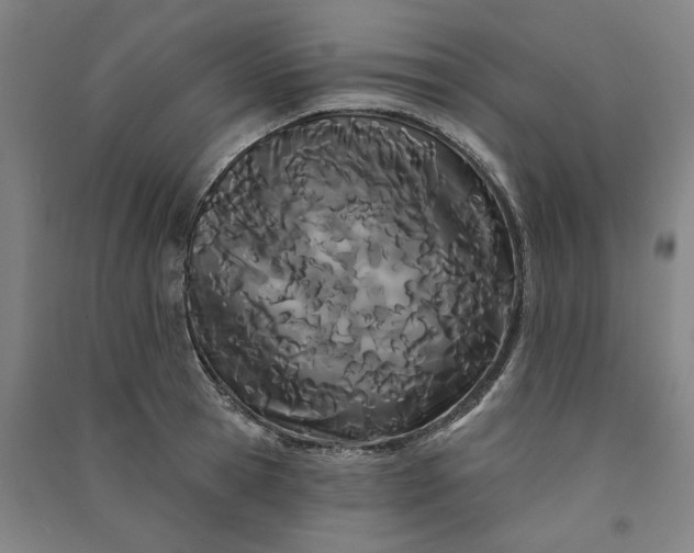 X0000091090945200708201454