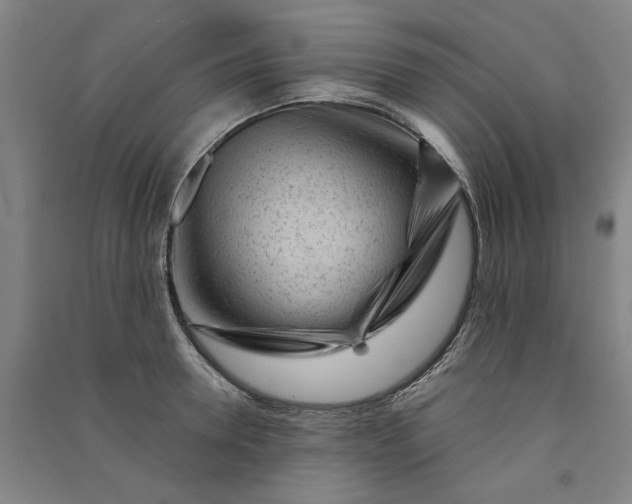 X0000091090946200708201454