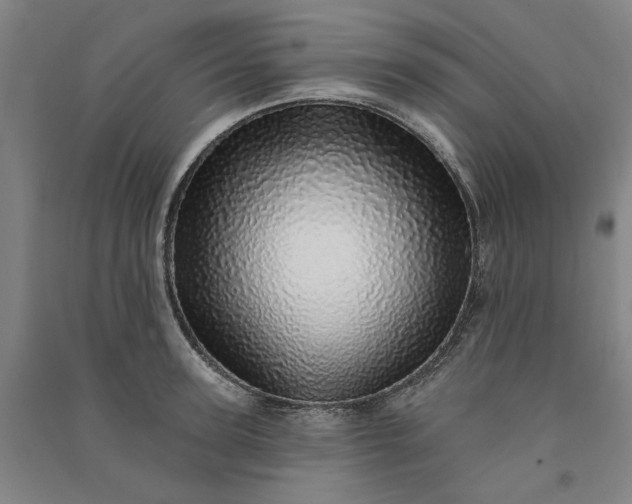 X0000091090947200708201454