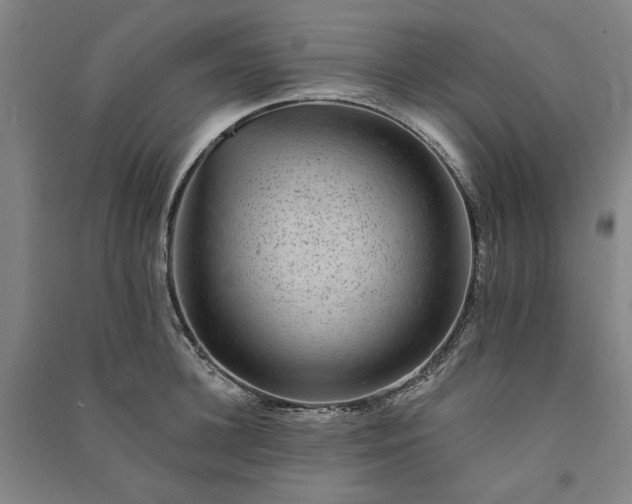 X0000091090948200708201454