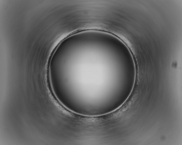 X0000091090949200708201454