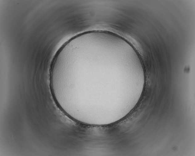 X0000091090950200708201454