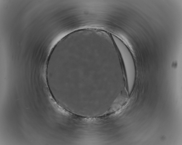 X0000091090952200708201454