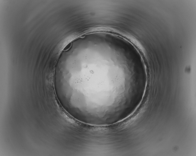 X0000091090953200708201454