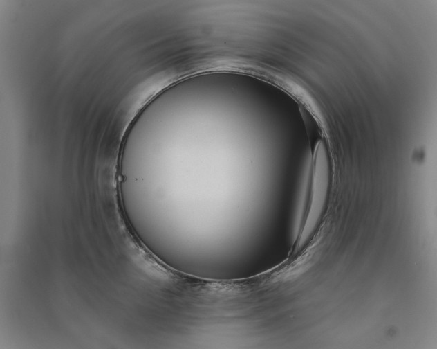 X0000091090954200708201454