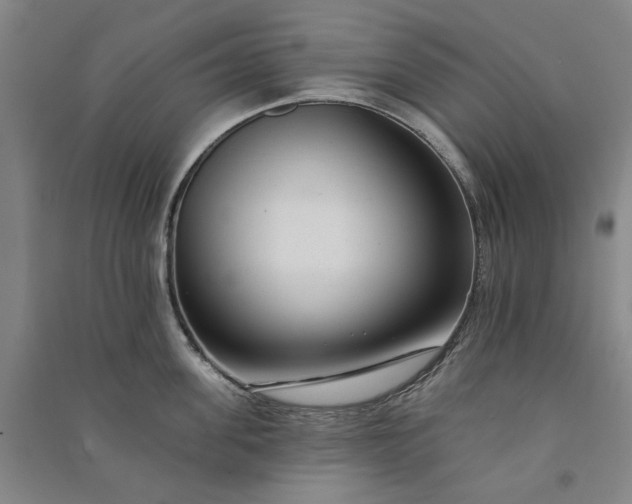 X0000091090955200708201454