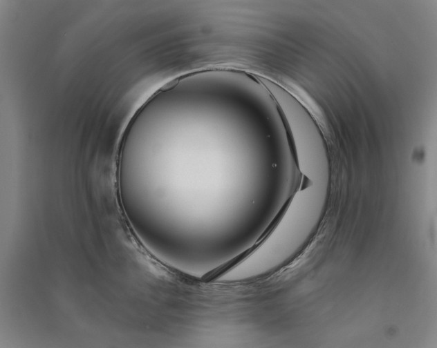 X0000091090956200708201454