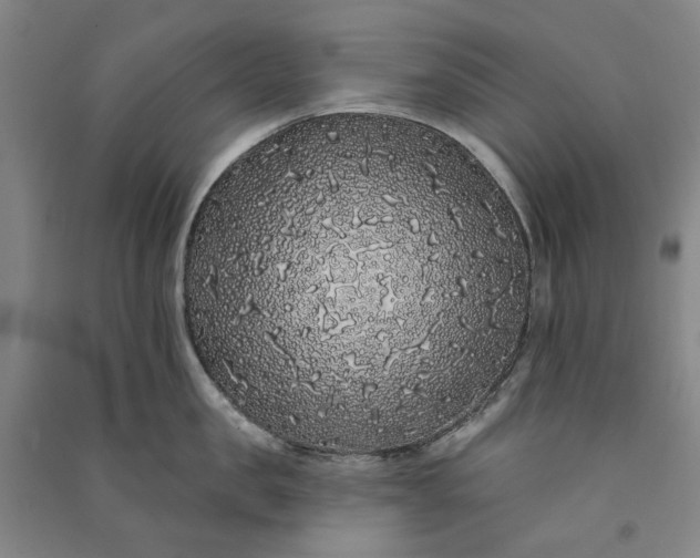 X0000091090957200708201454