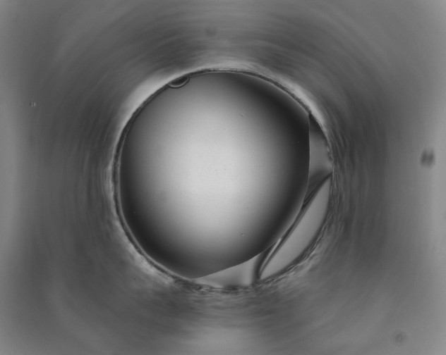 X0000091090959200708201454