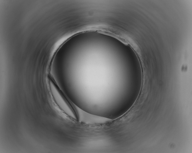 X0000091090960200708201454