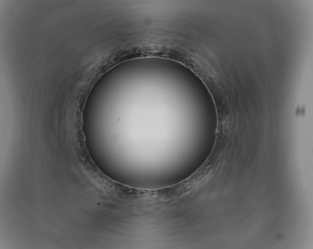 X0000091090961200708201454