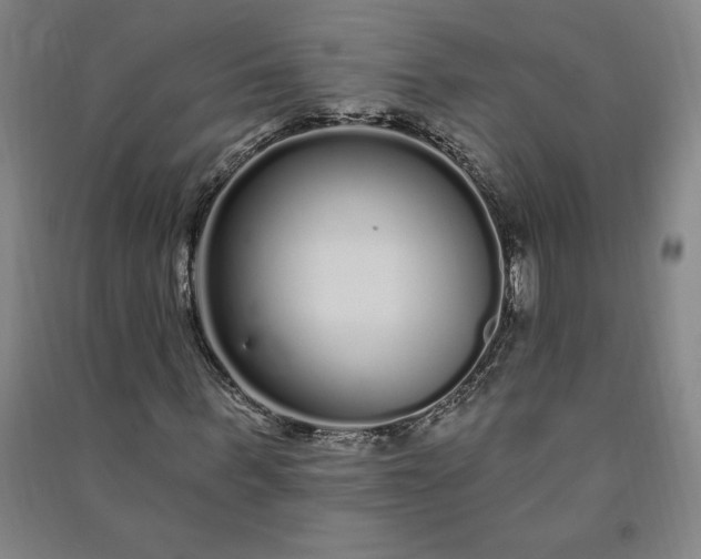 X0000091090963200708201454