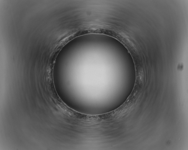 X0000091090964200708201454