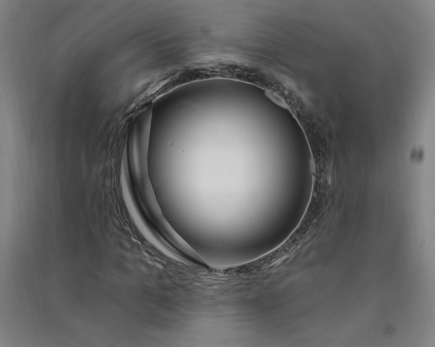 X0000091090965200708201453