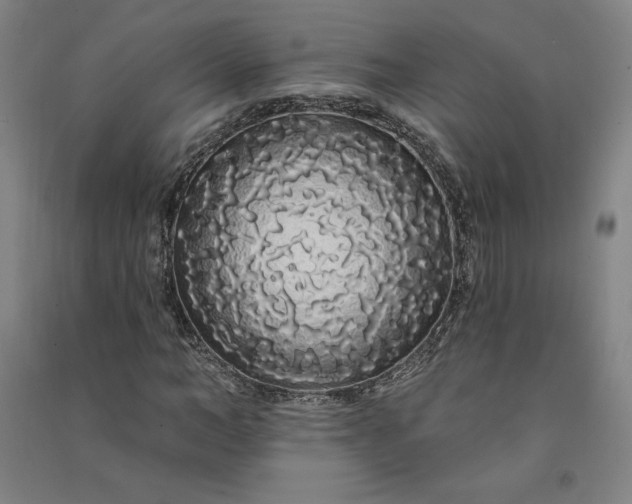 X0000091090966200708201453