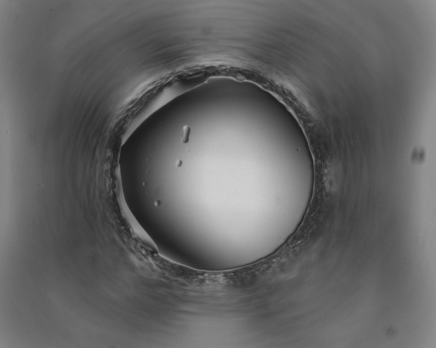 X0000091090968200708201453