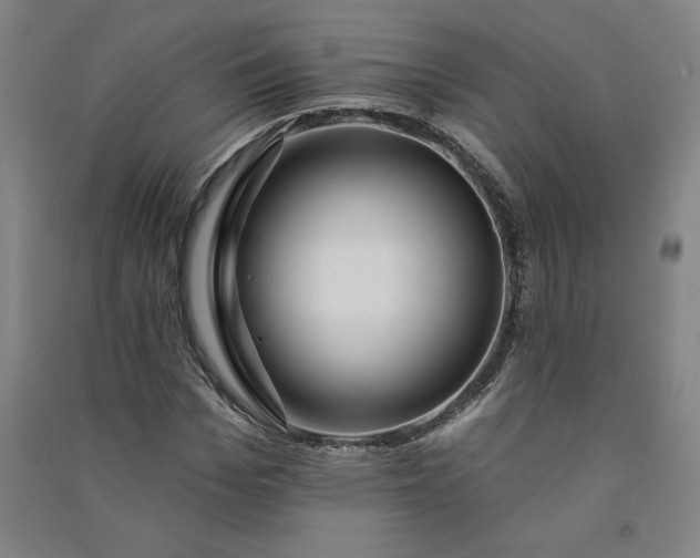 X0000091090969200708201453