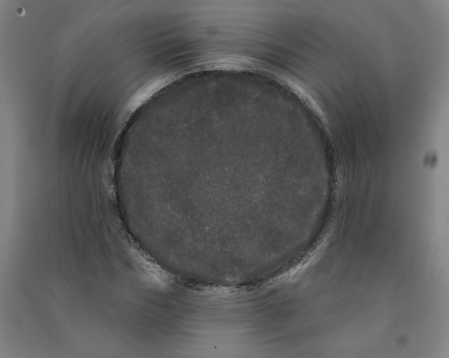 X0000091090970200708201453