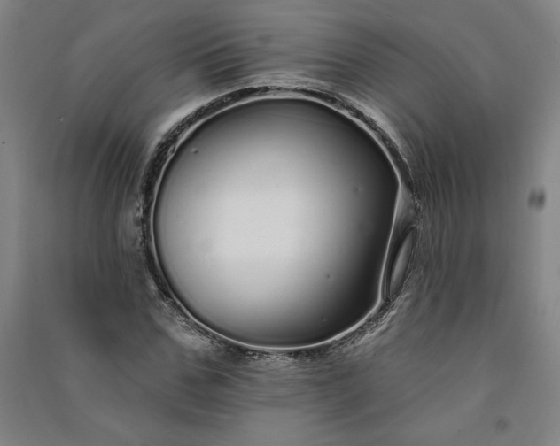 X0000091090971200708201453