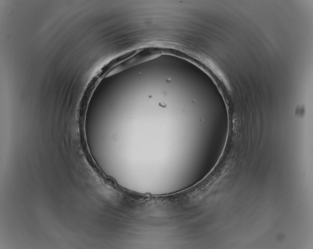 X0000091090972200708201453