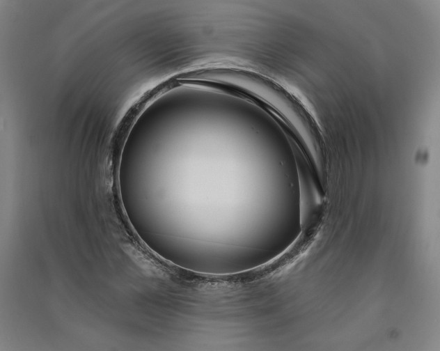 X0000091090973200708201453