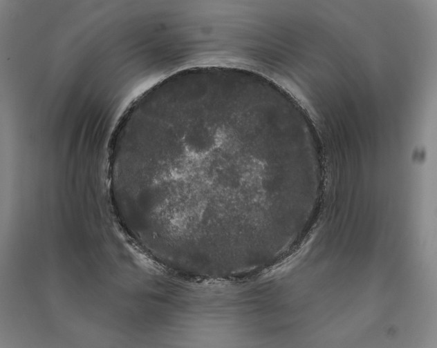 X0000091090974200708201453